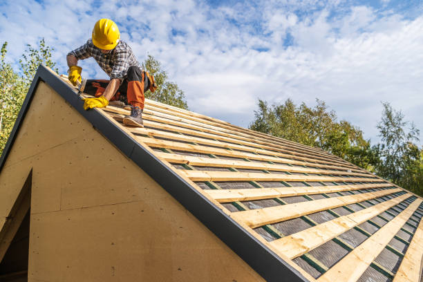 Best New Roof Installation  in Mackinac Island, MI