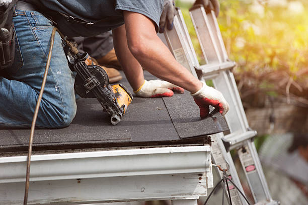 Best Roof Gutter Cleaning  in Mackinac Island, MI