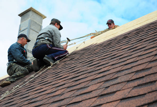 Best Roof Repair Services  in Mackinac Island, MI